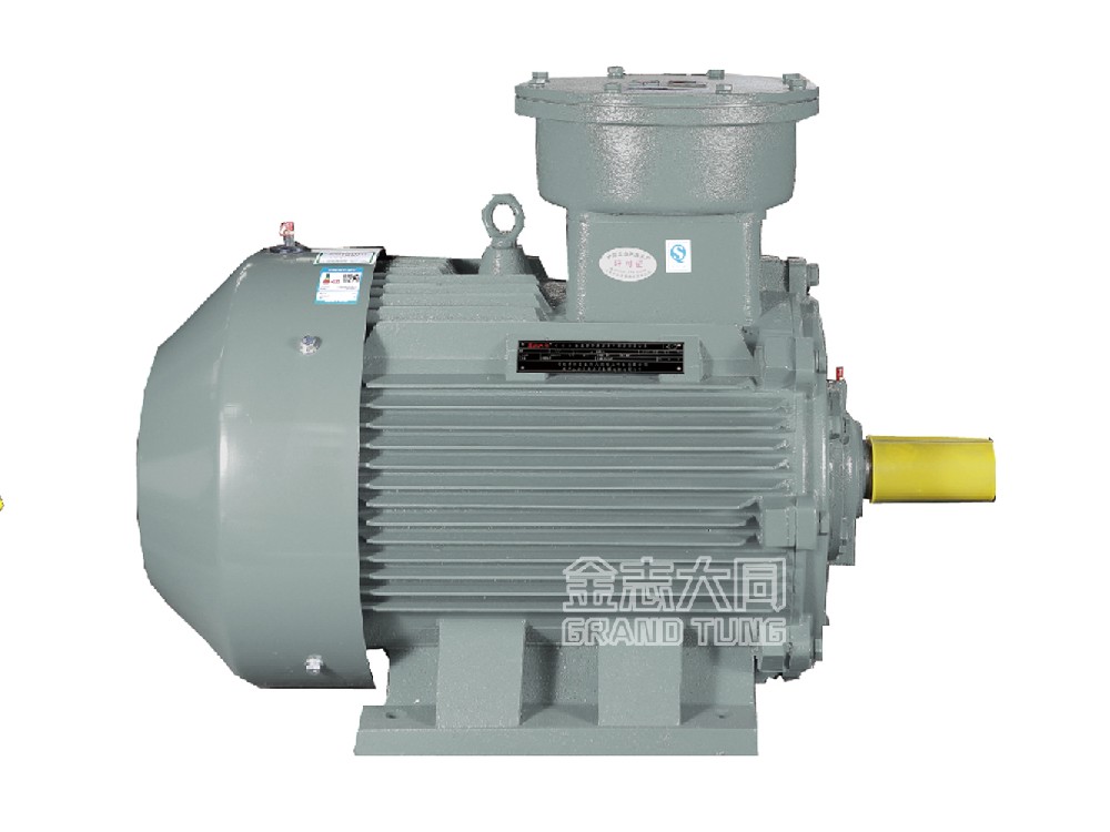 Exd II BT4防爆電機